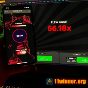 11 winner aviator game