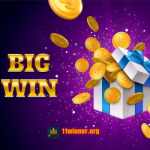 11winner.com app