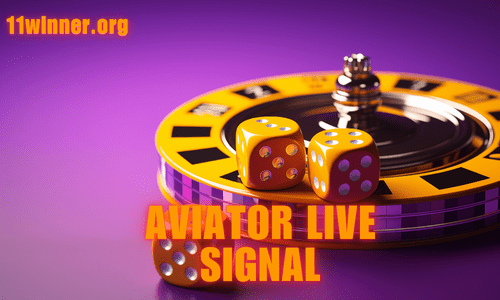 aviator live signal