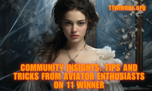 11 winner community insights, 11 Winner