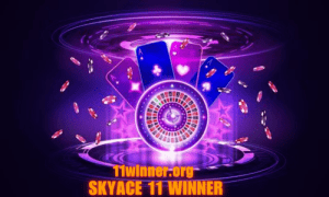 skyace 11 winner