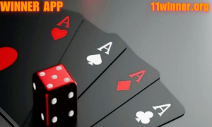 11 winner app