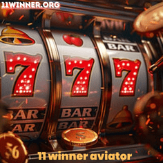 11 winner aviator