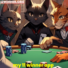 my 11 winner app