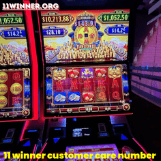 11 winner customer care number