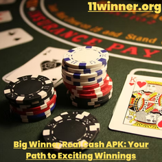 big winner real cash apk