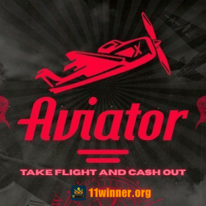11 winner aviator game