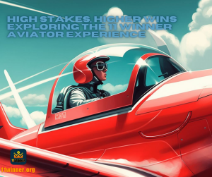 11 winner aviator