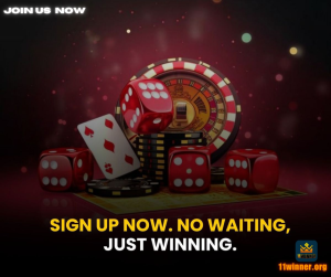 11winner app