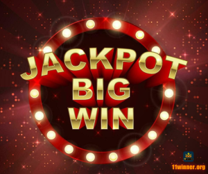 11winner
