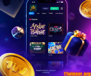 11winer. com