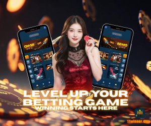 11winner.com login